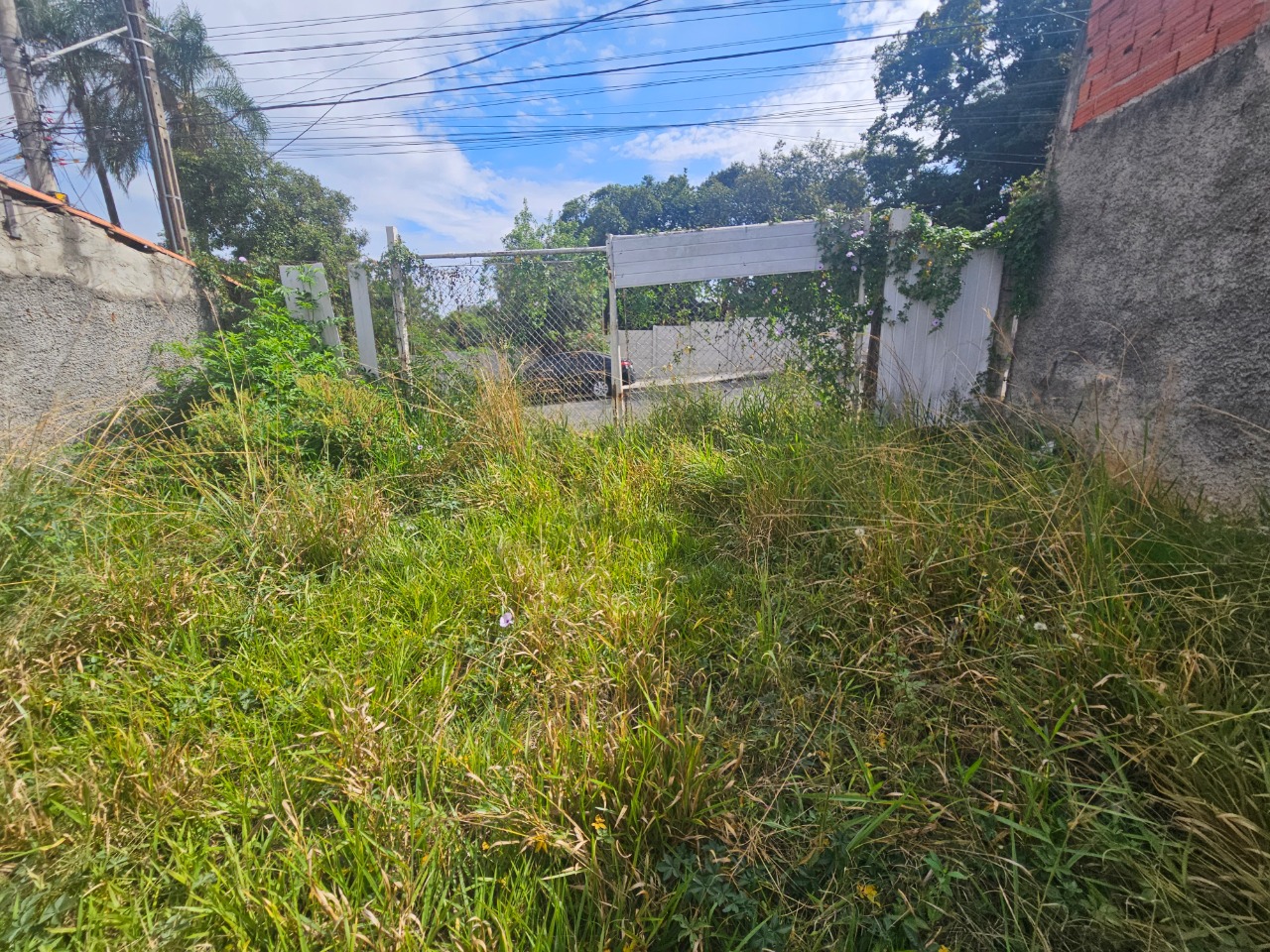 Terreno - Foto 2