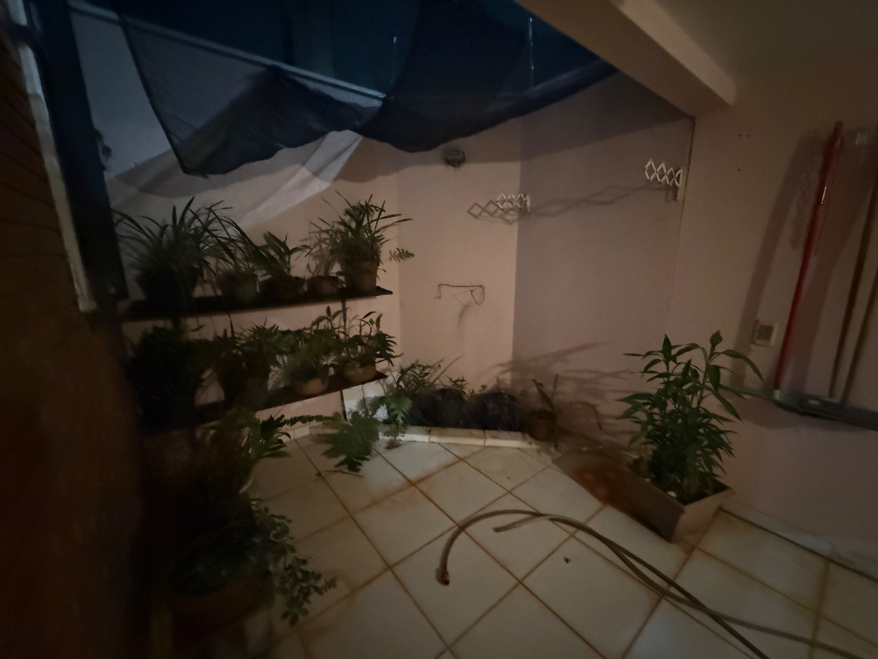 Apartamento, 2 quartos, 60 m² - Foto 29