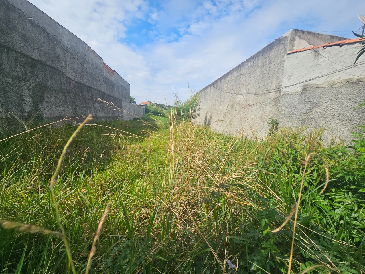 Terreno - Foto 17