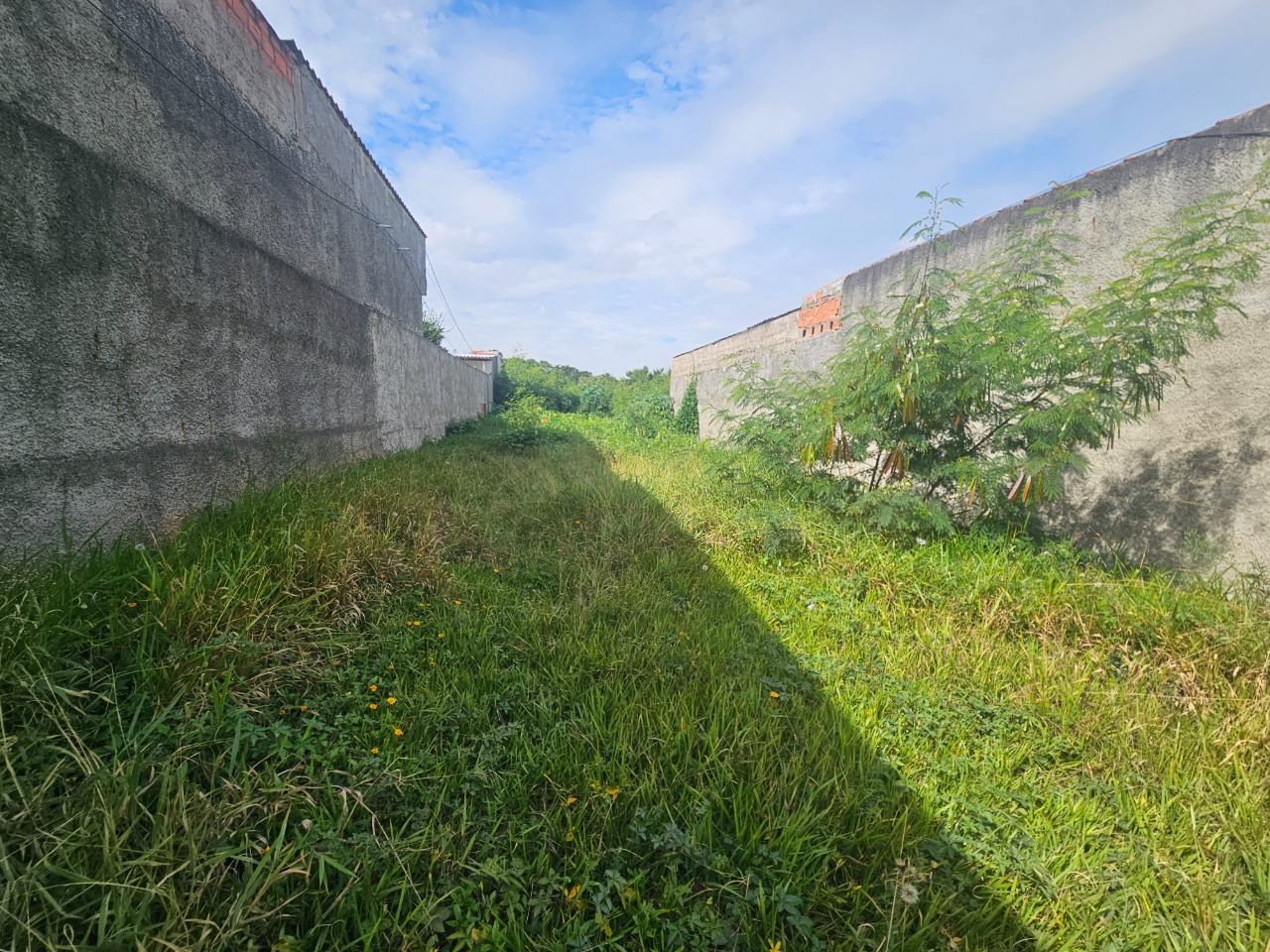 Terreno - Foto 9