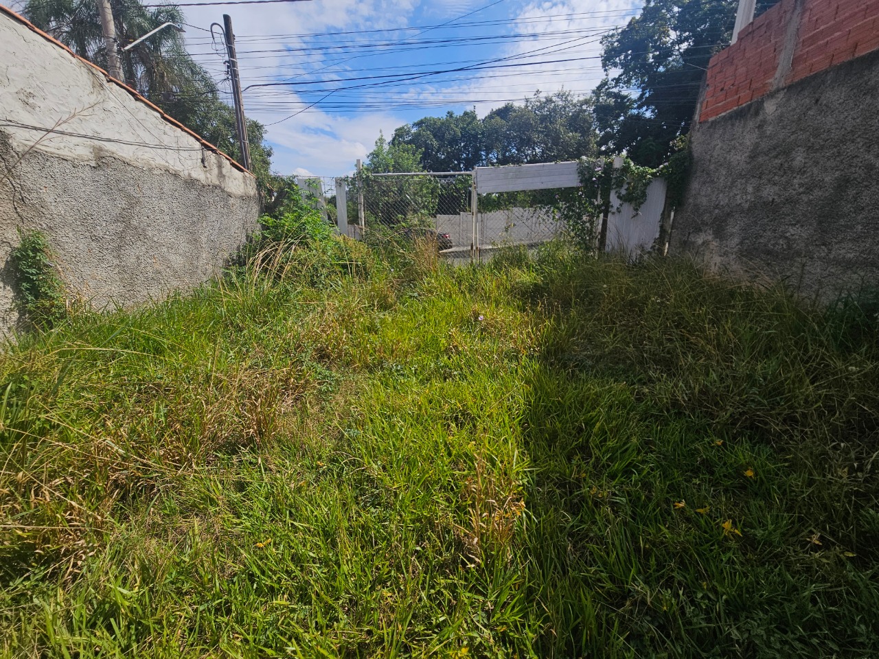 Terreno - Foto 7