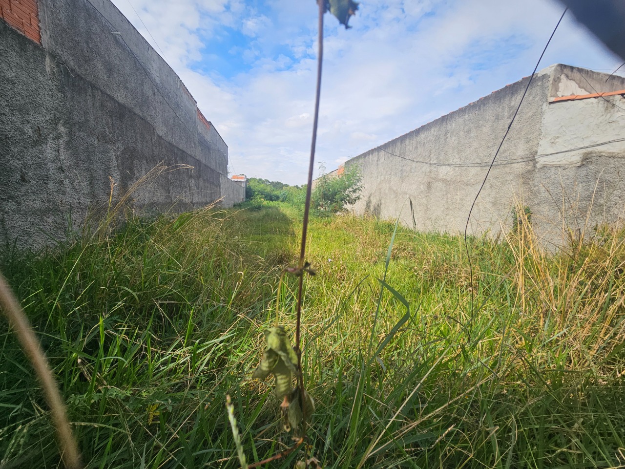 Terreno - Foto 19