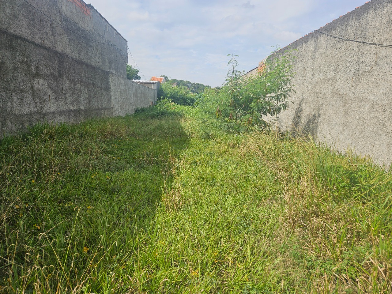 Terreno - Foto 13