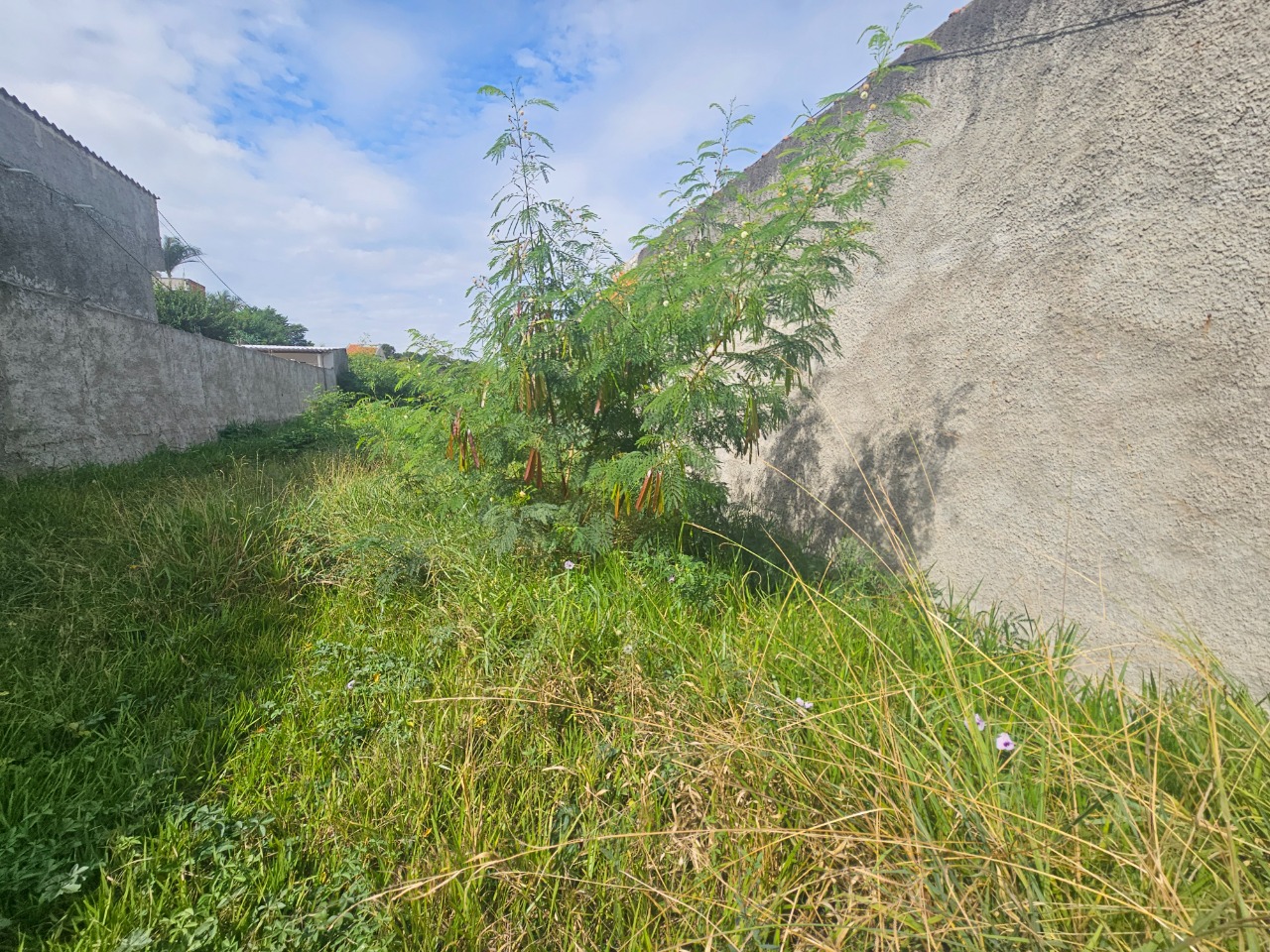Terreno - Foto 10