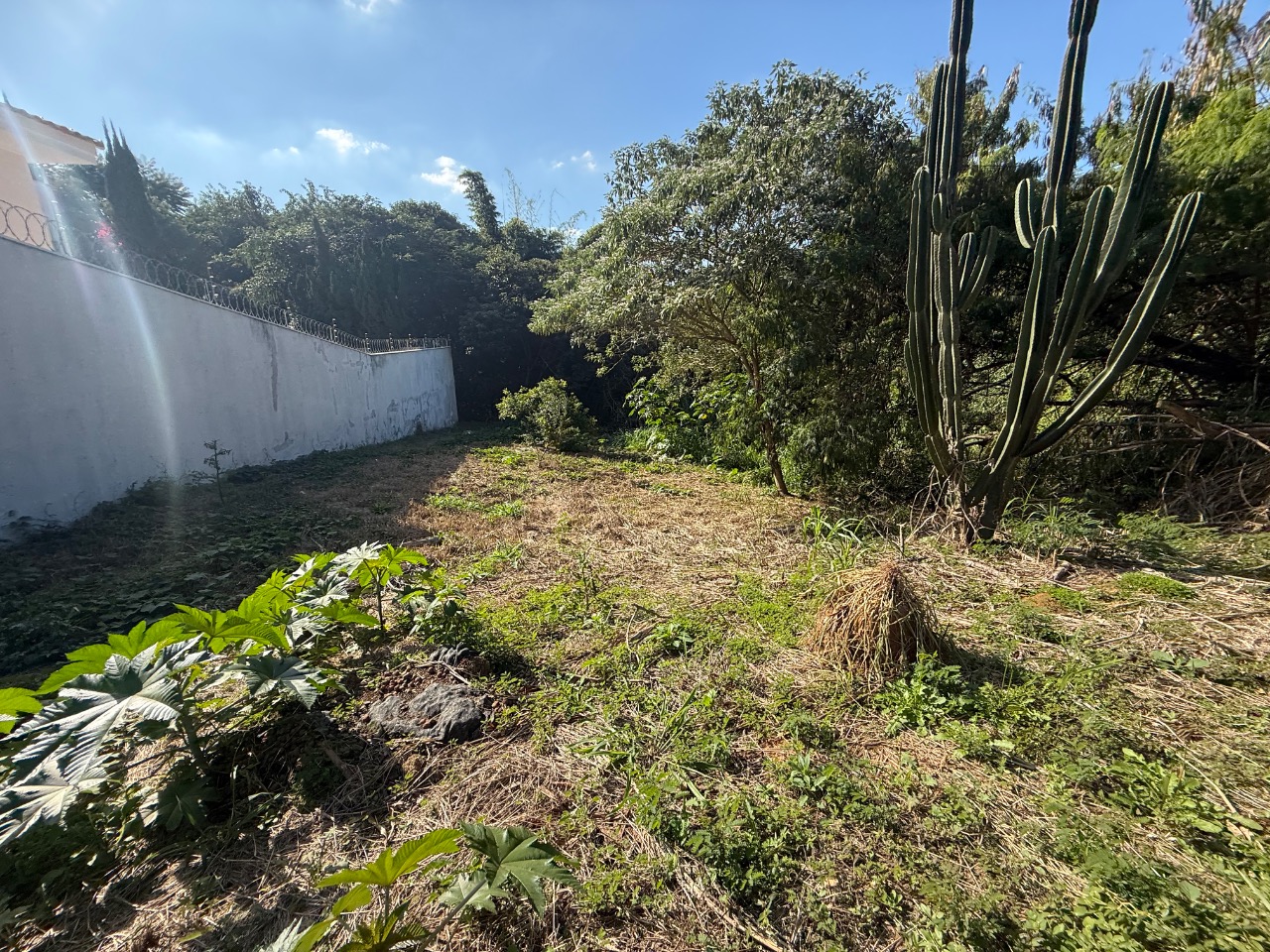 Terreno, 504 m² - Foto 19