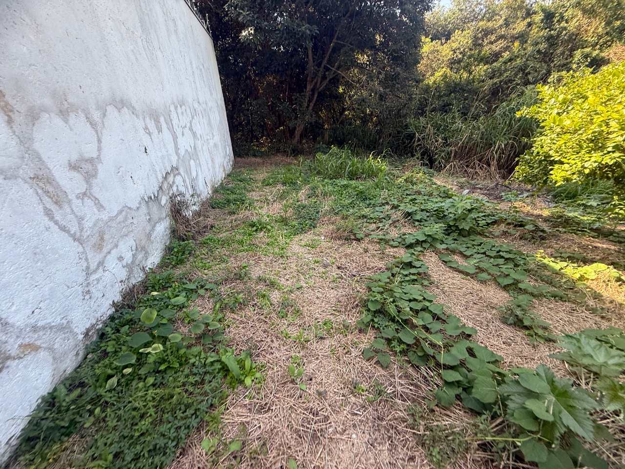 Terreno, 504 m² - Foto 16