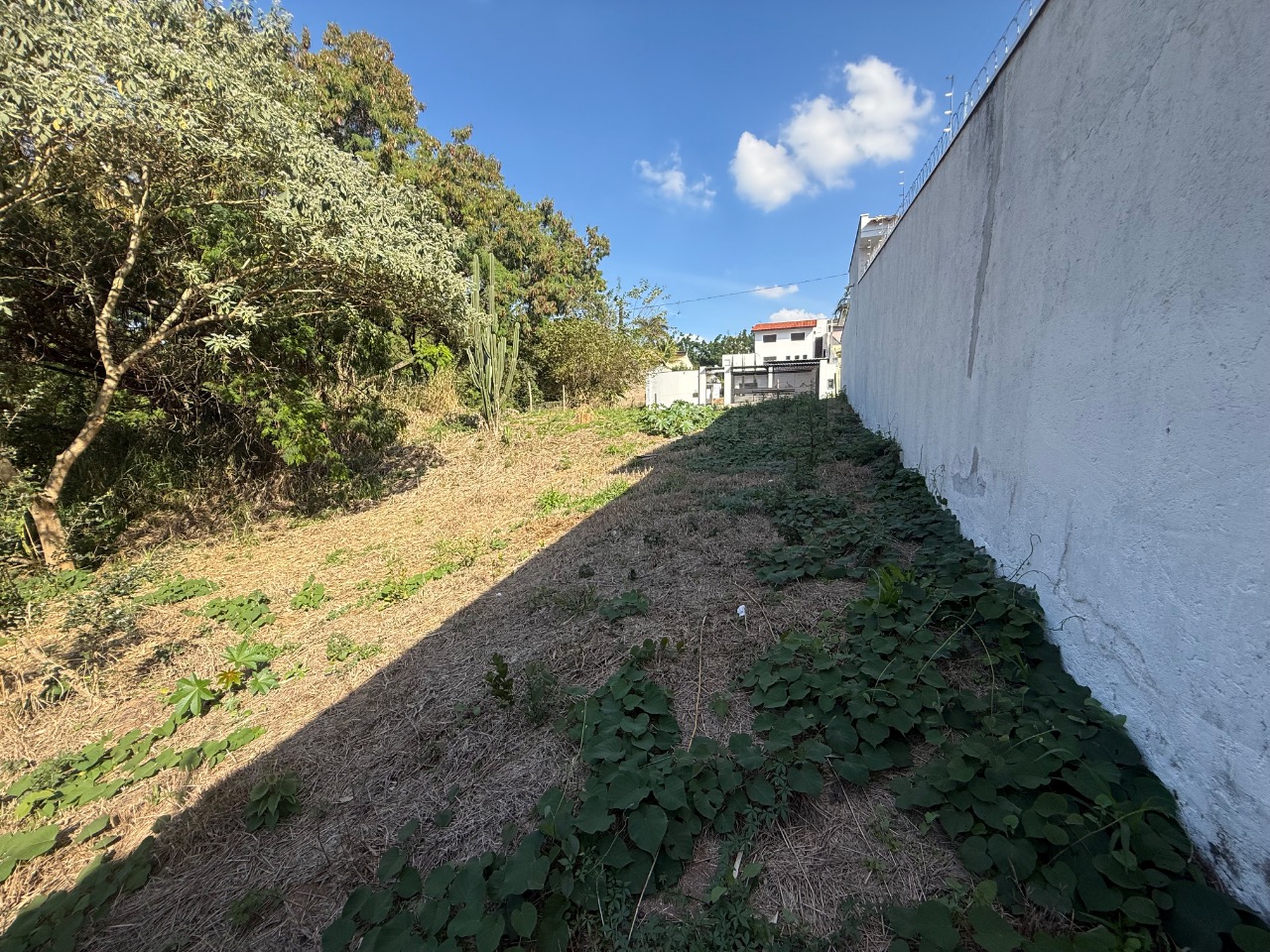 Terreno, 504 m² - Foto 17