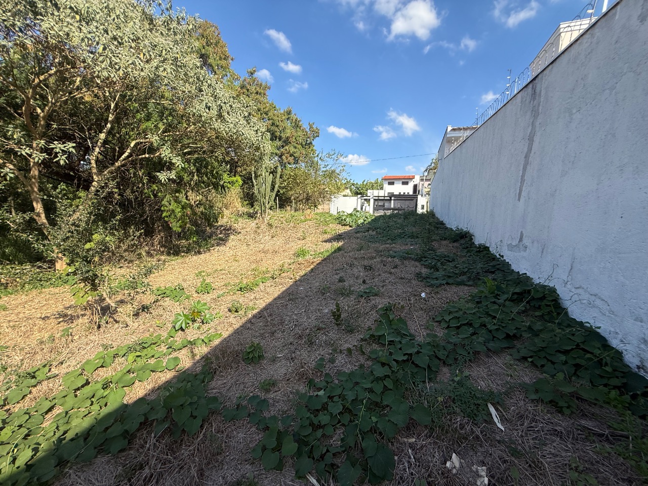 Terreno, 504 m² - Foto 13