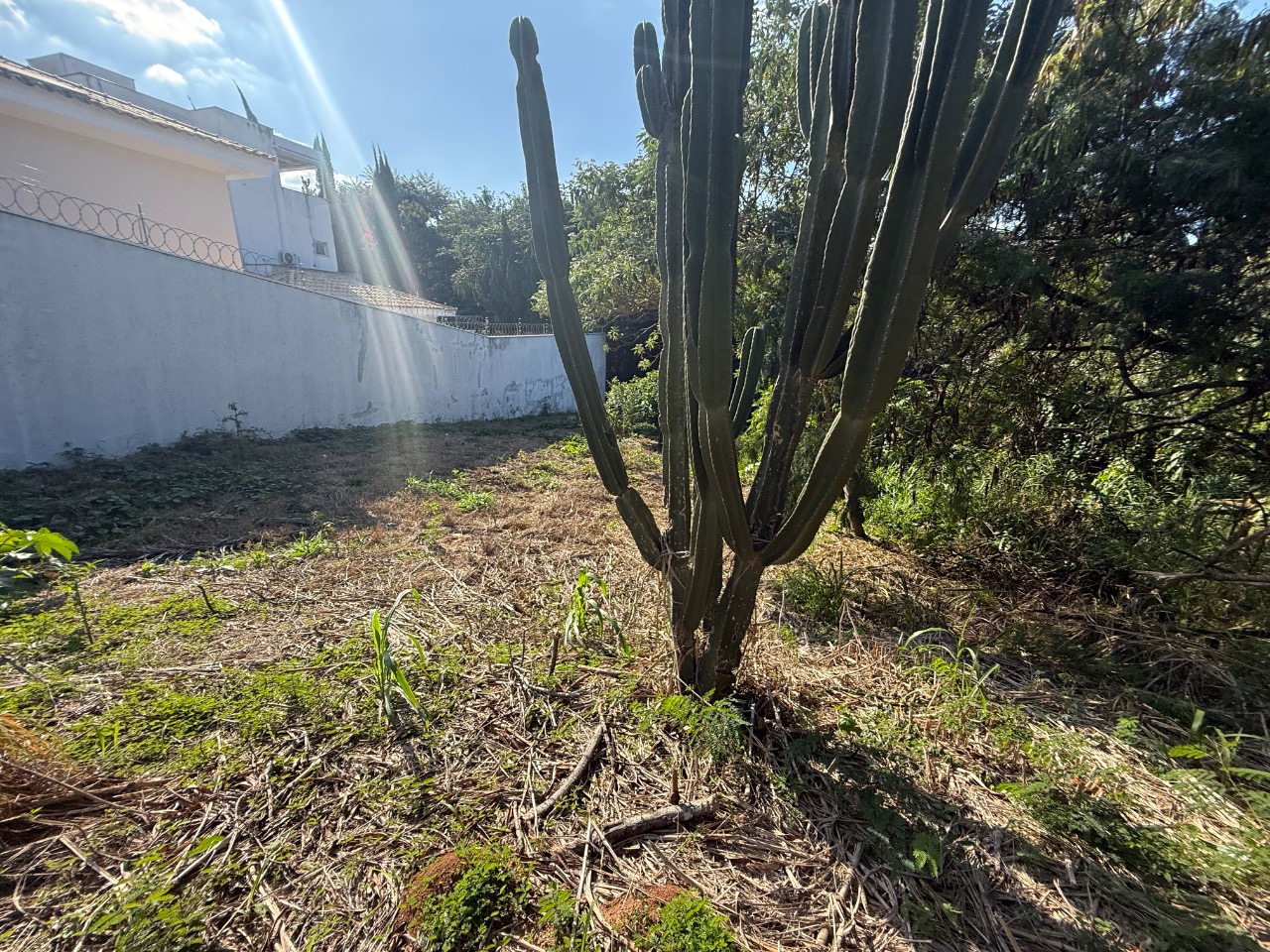 Terreno, 504 m² - Foto 5