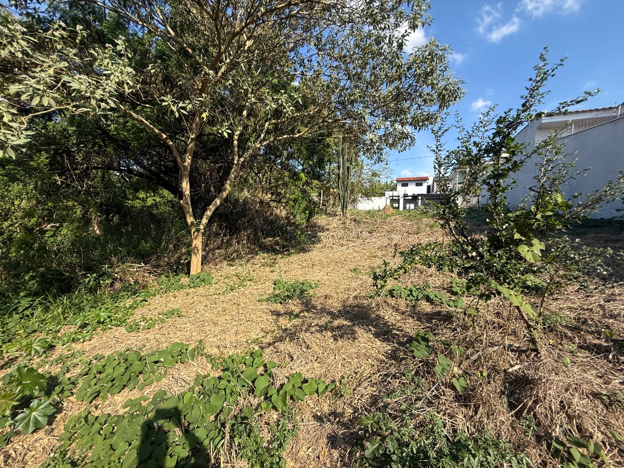 Terreno, 504 m² - Foto 10