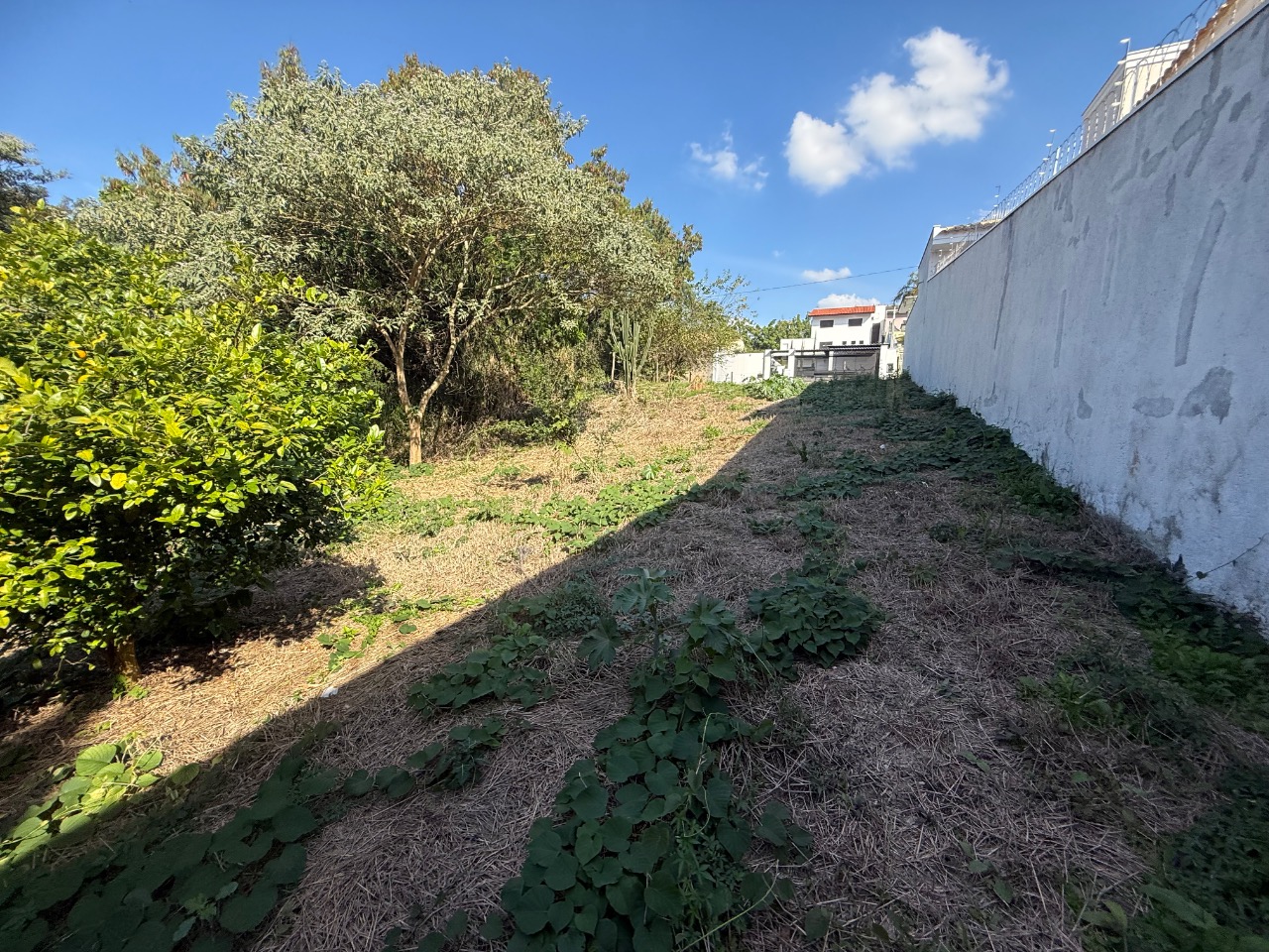 Terreno, 504 m² - Foto 14