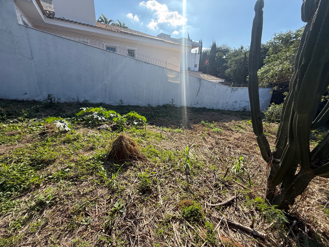 Terreno, 504 m² - Foto 6
