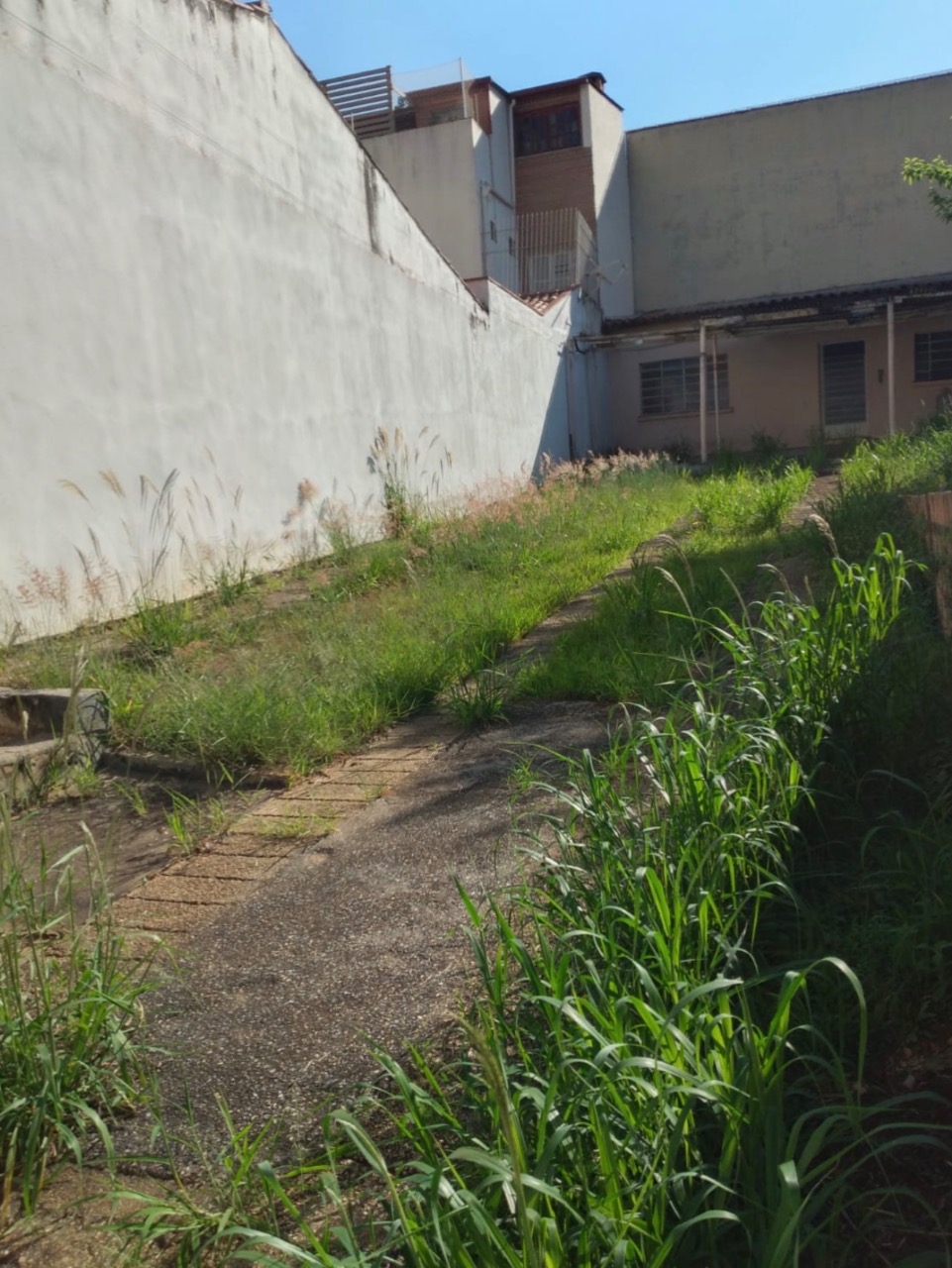 Terreno, 300 m² - Foto 6