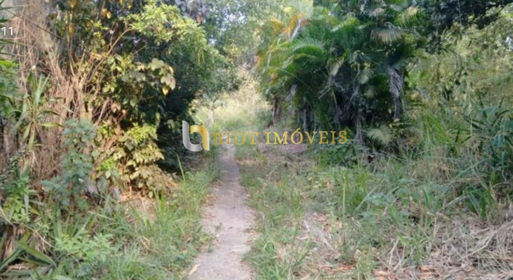 Terreno, 3 hectares - Foto 10