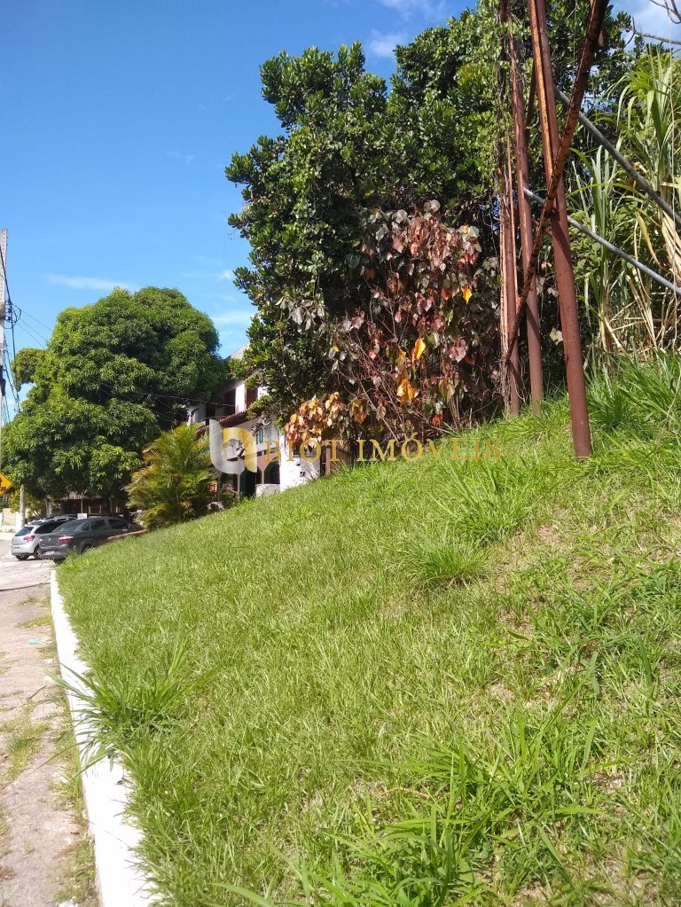 Terreno, 3 hectares - Foto 2