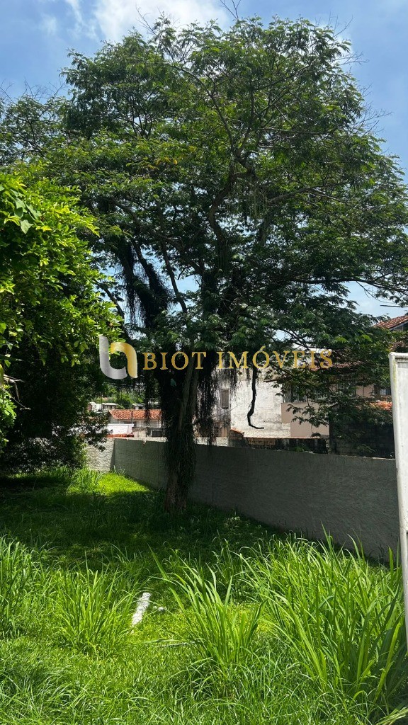 Terreno, 225 m² - Foto 4