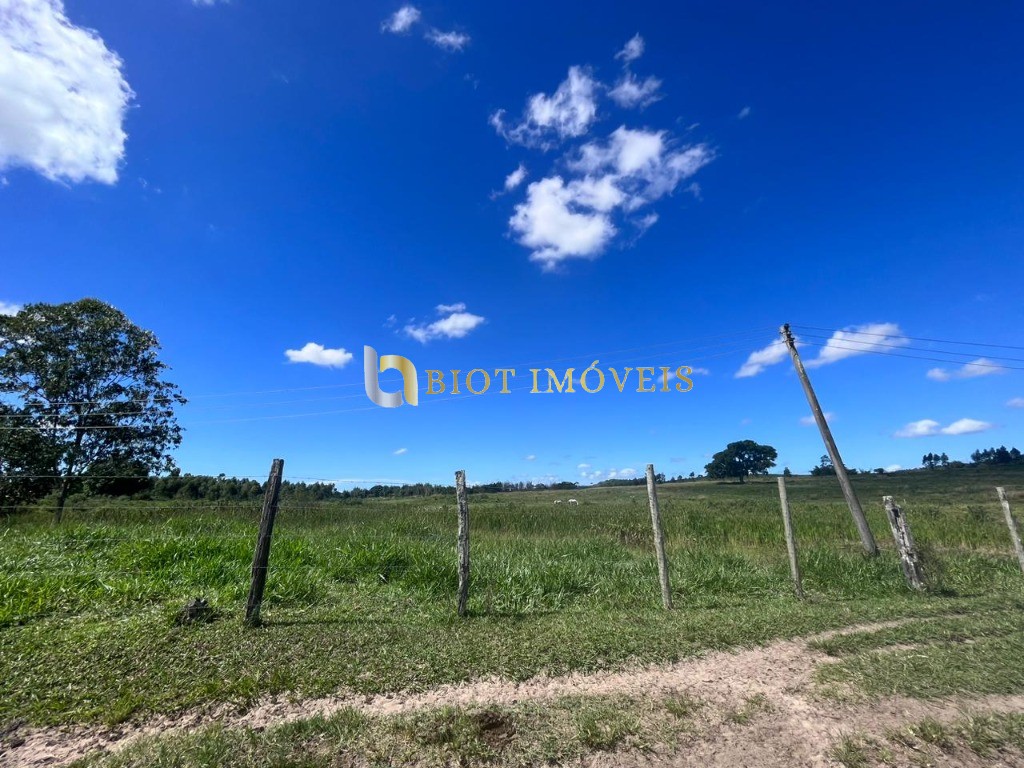 Fazenda - Foto 15