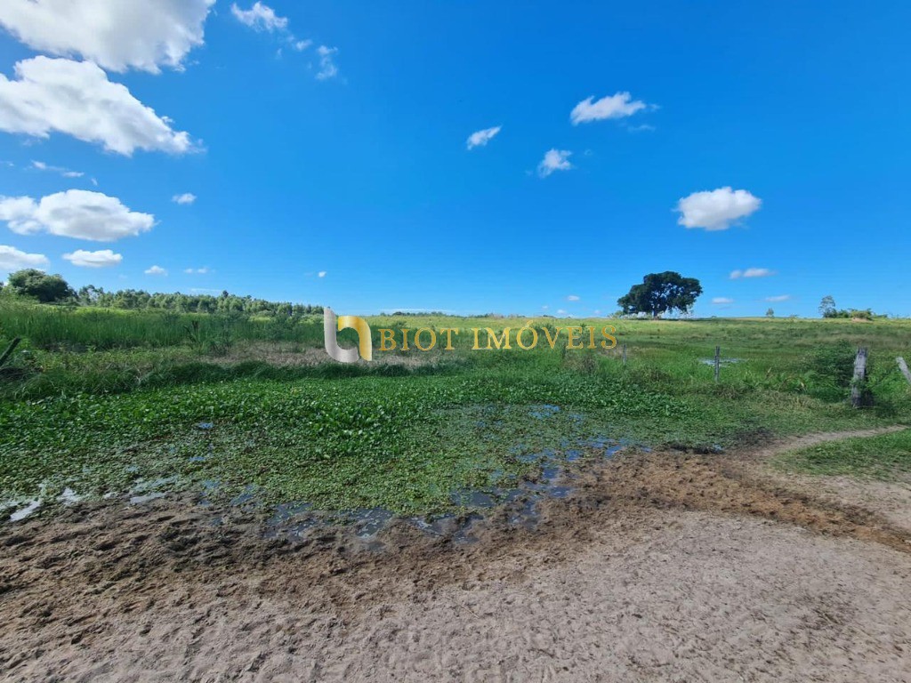 Fazenda - Foto 44
