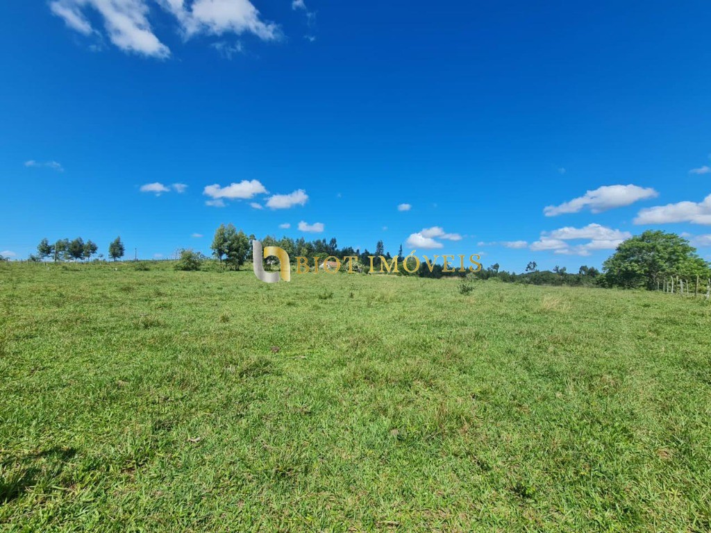 Fazenda - Foto 29