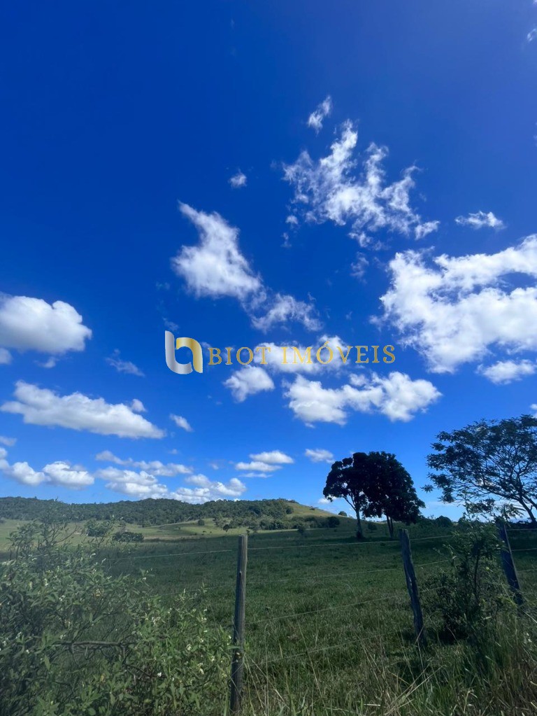 Fazenda - Foto 4