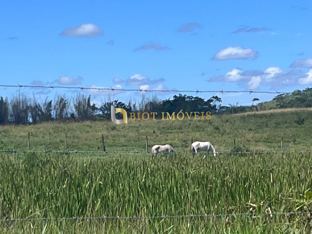 Fazenda - Foto 19