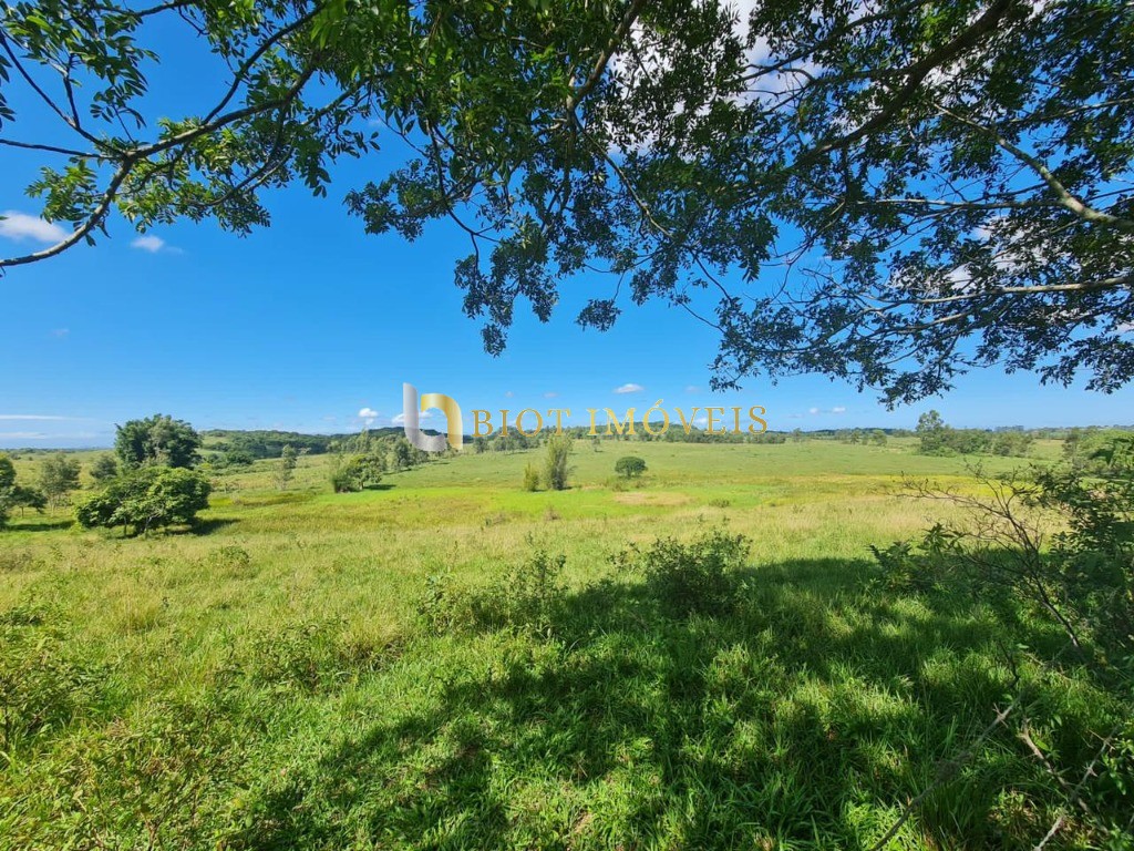 Fazenda - Foto 28