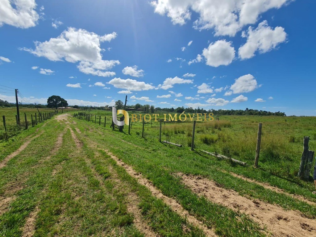 Fazenda - Foto 49