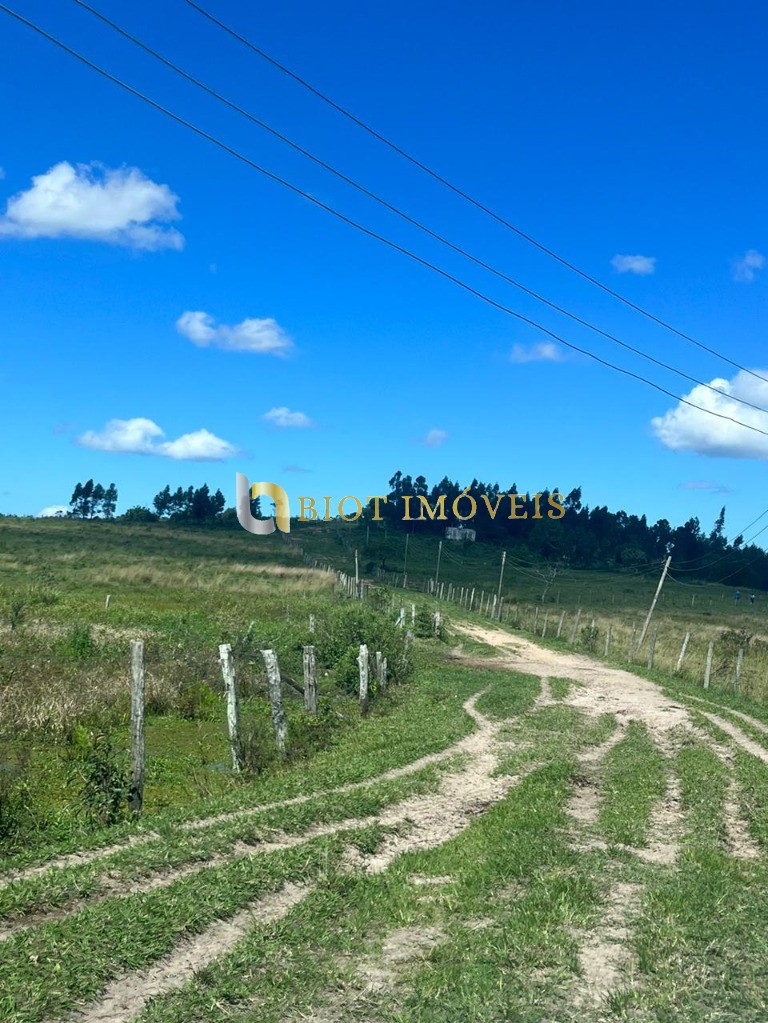 Fazenda - Foto 16