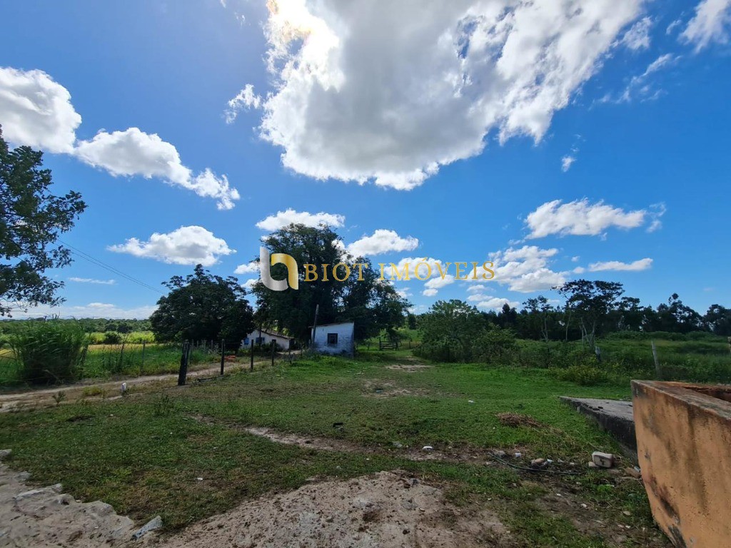 Fazenda - Foto 37