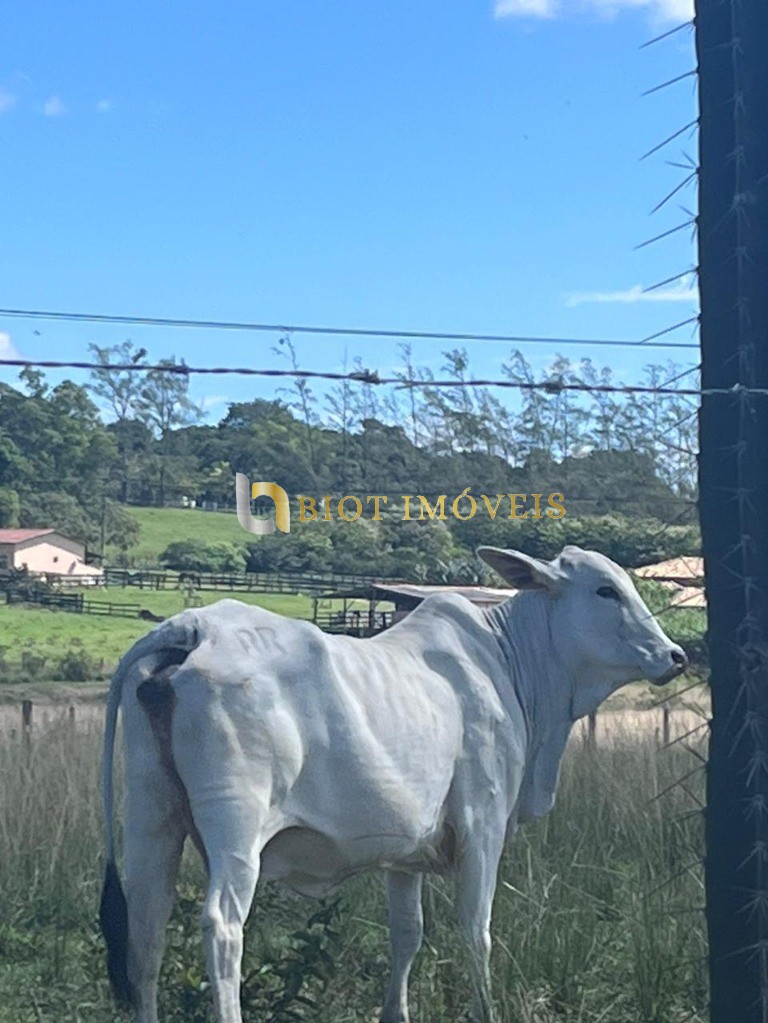 Fazenda - Foto 12