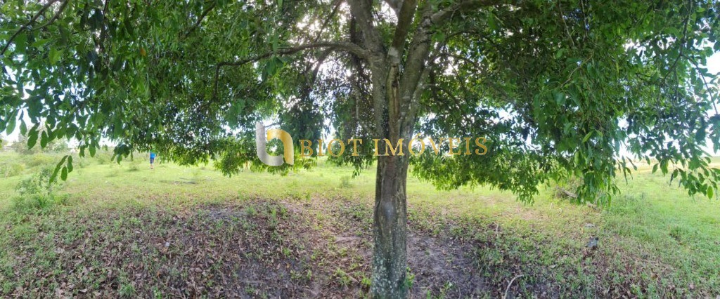 Fazenda - Foto 40