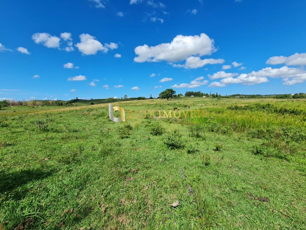 Fazenda - Foto 51