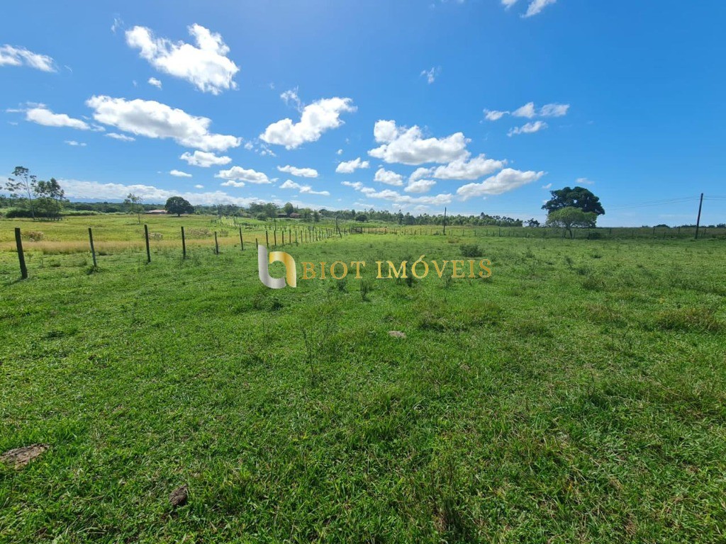 Fazenda - Foto 31