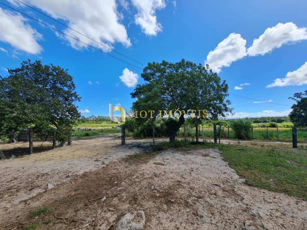 Fazenda - Foto 43