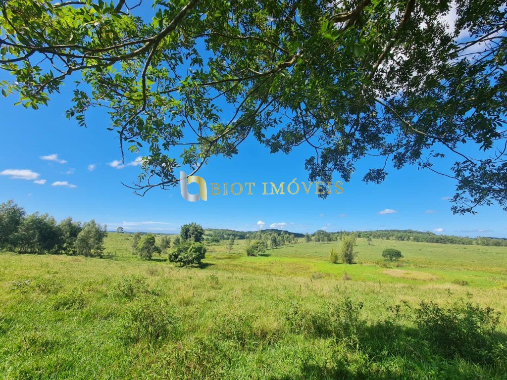 Fazenda - Foto 25