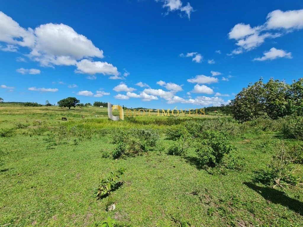 Fazenda - Foto 36