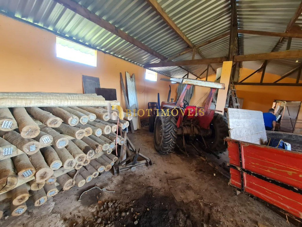 Fazenda - Foto 42