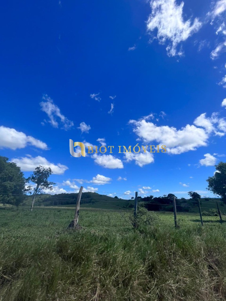 Fazenda - Foto 5