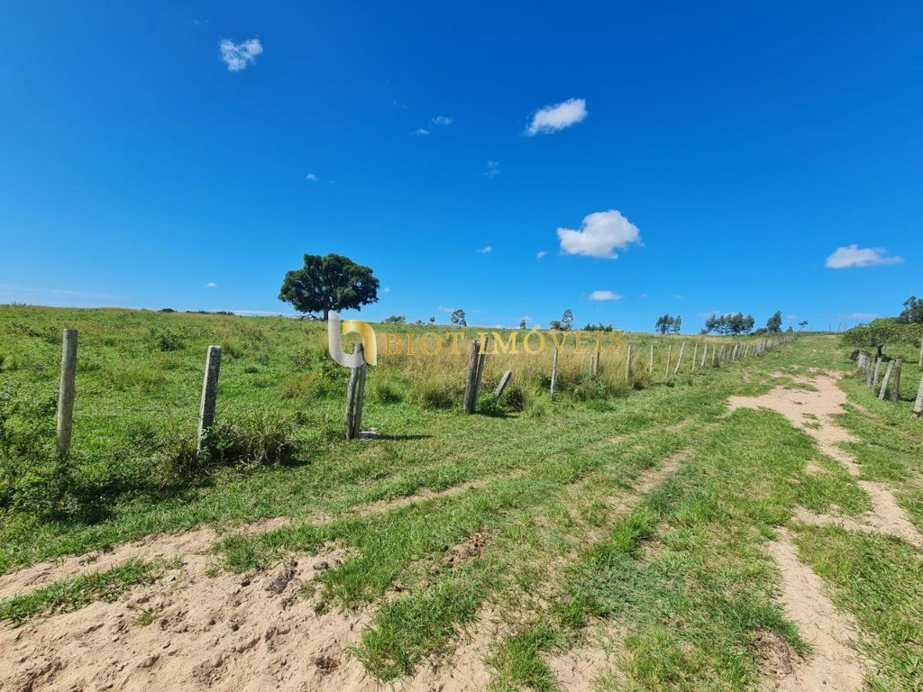 Fazenda - Foto 35