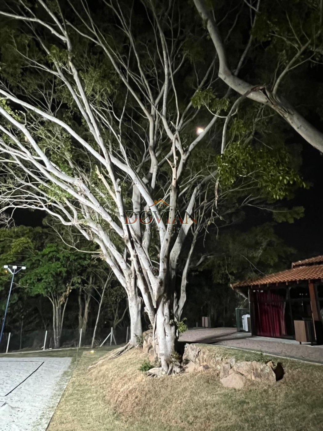 Terreno, 300 m² - Foto 6