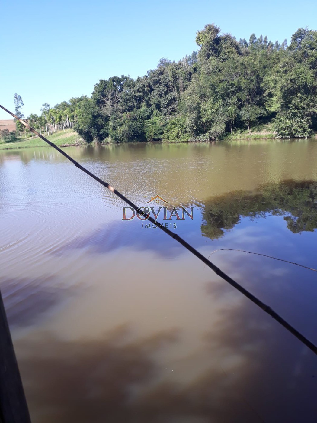 Fazenda, 2 hectares - Foto 11