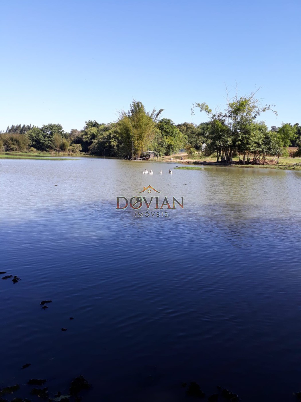 Fazenda, 2 hectares - Foto 7