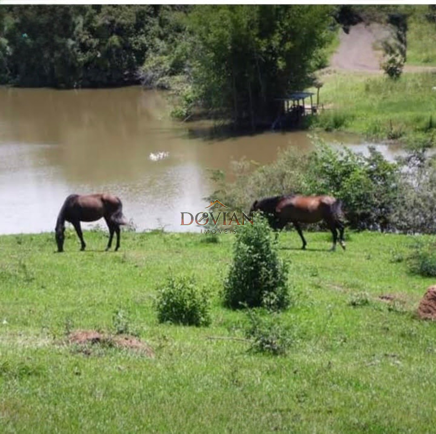 Fazenda, 2 hectares - Foto 2