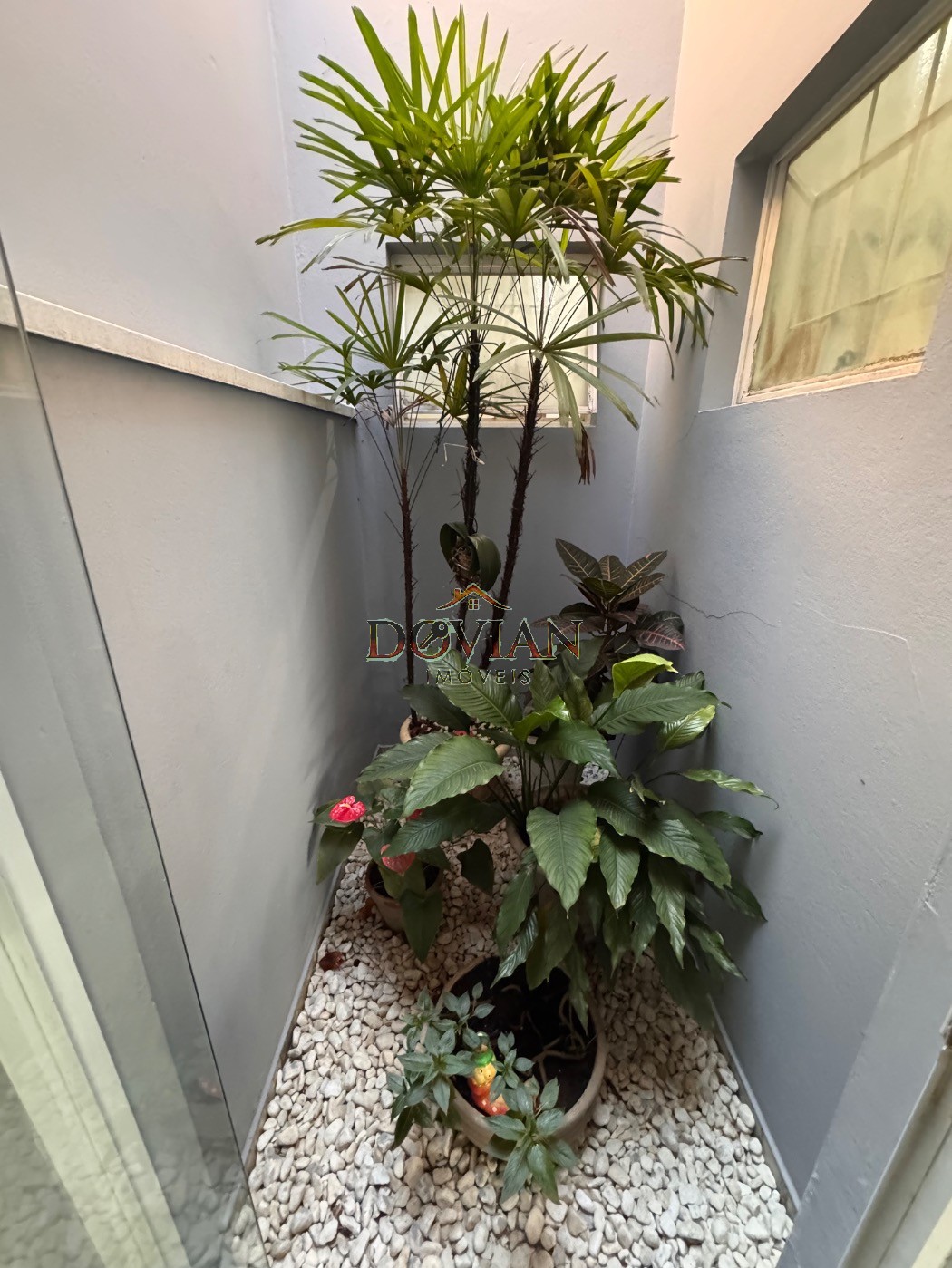 Casa, 3 quartos, 250 m² - Foto 9