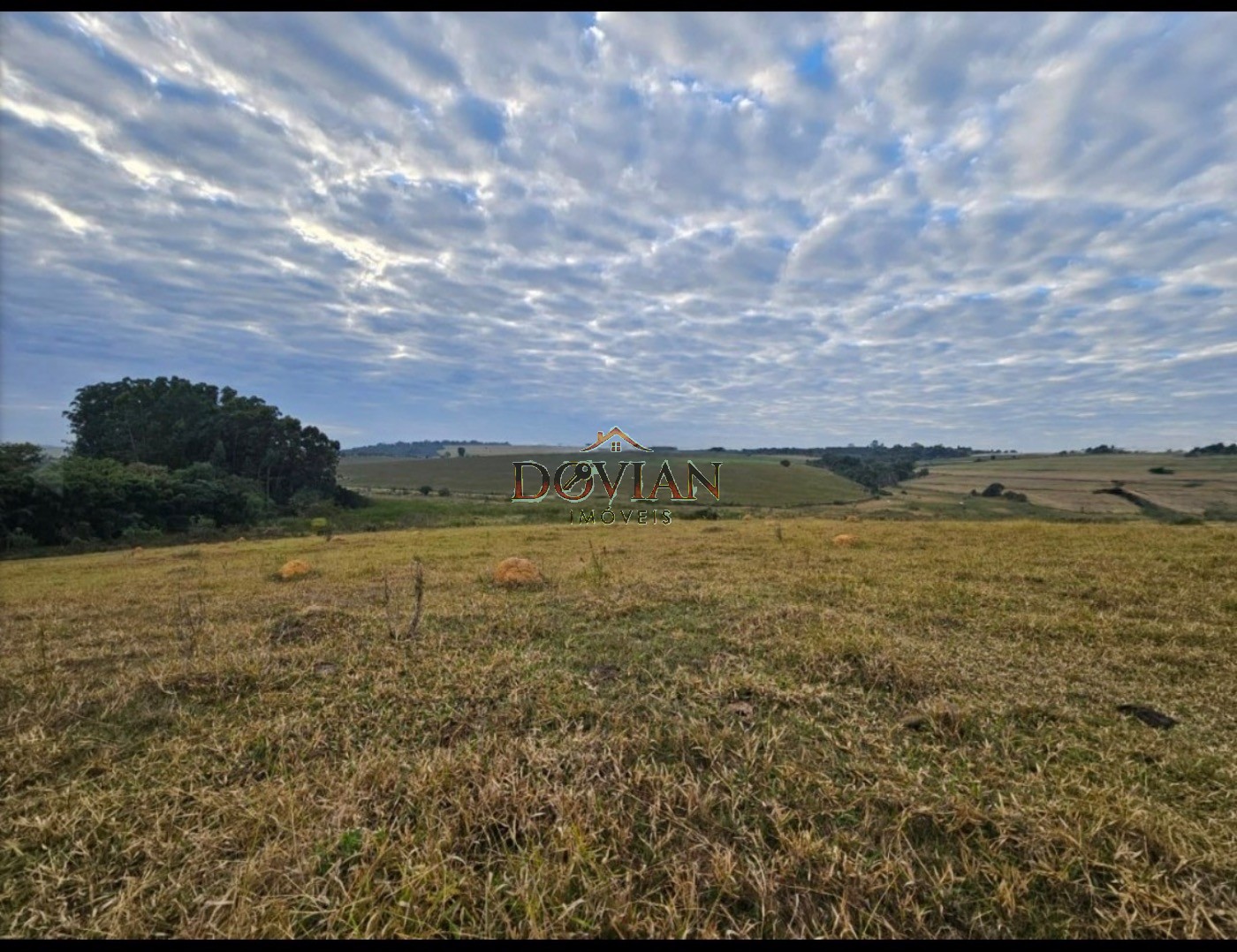 Fazenda, 3 hectares - Foto 3