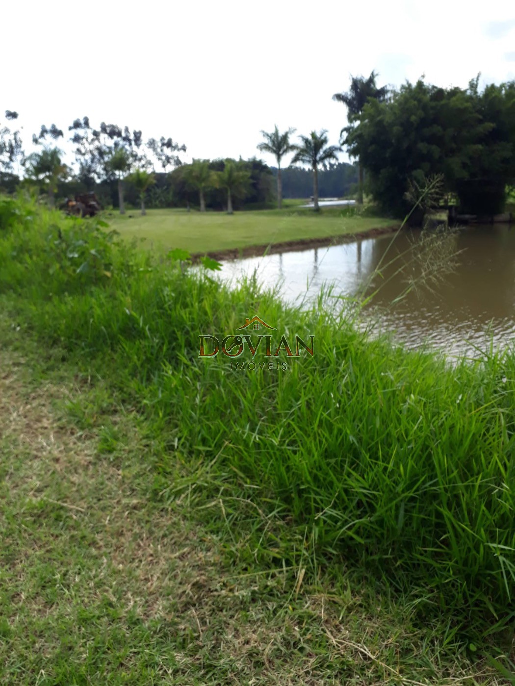 Fazenda, 2 hectares - Foto 13