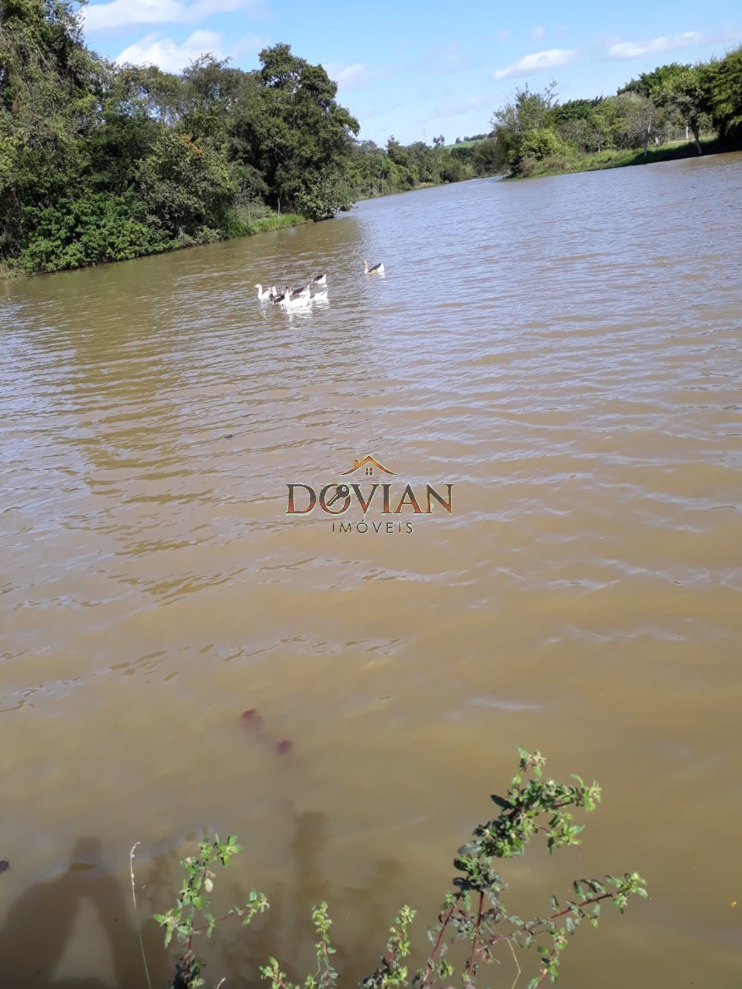 Fazenda, 2 hectares - Foto 10