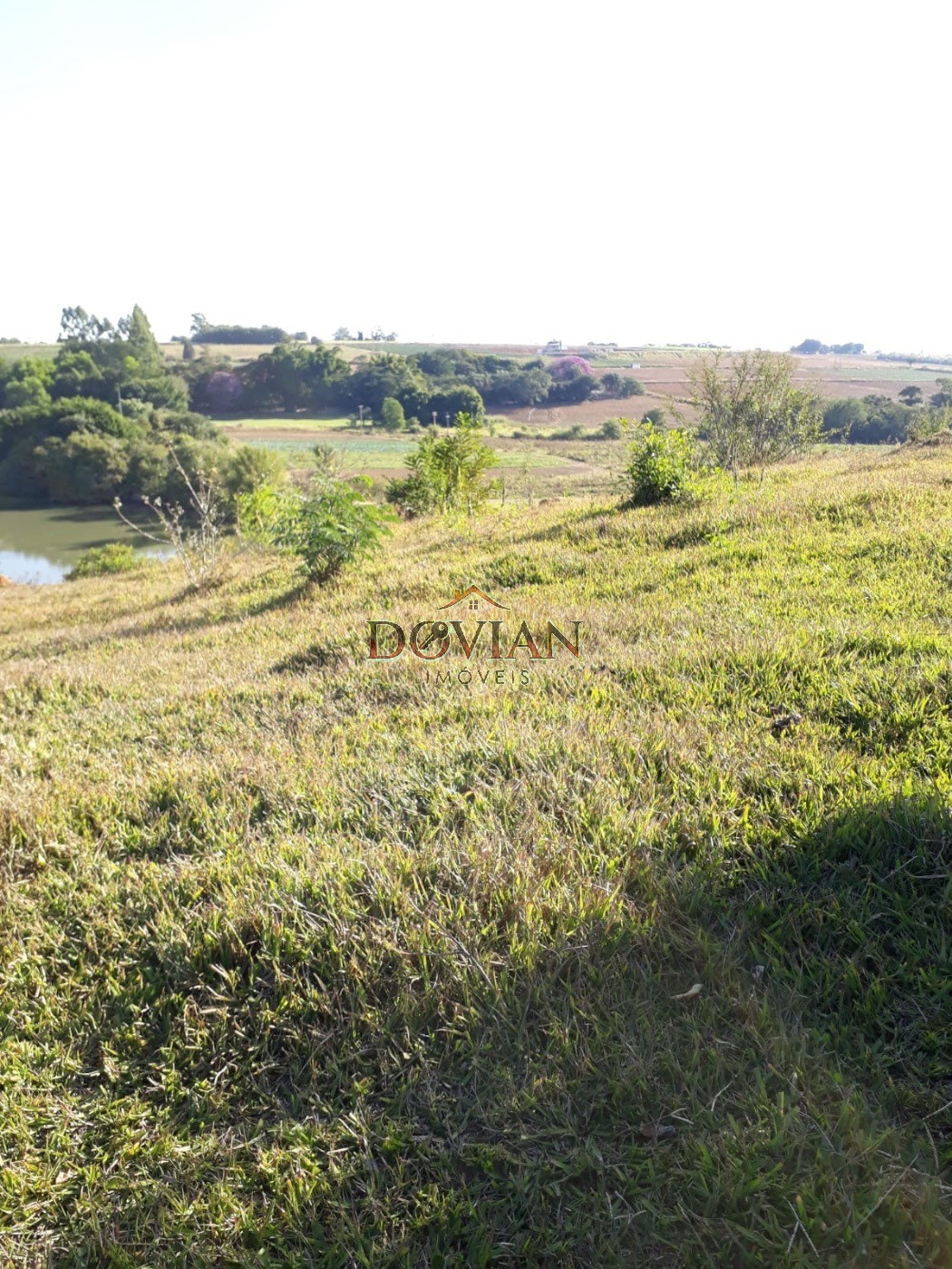 Fazenda, 2 hectares - Foto 4