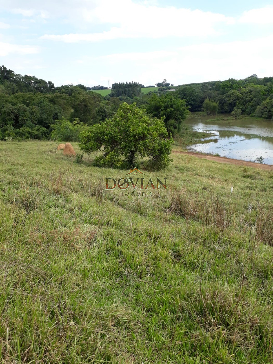 Fazenda, 2 hectares - Foto 6