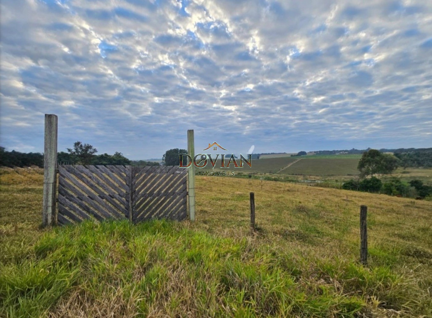 Fazenda, 3 hectares - Foto 4